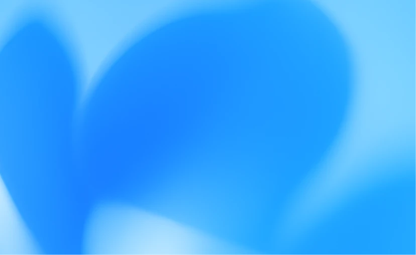 Paracai - software development and design agency